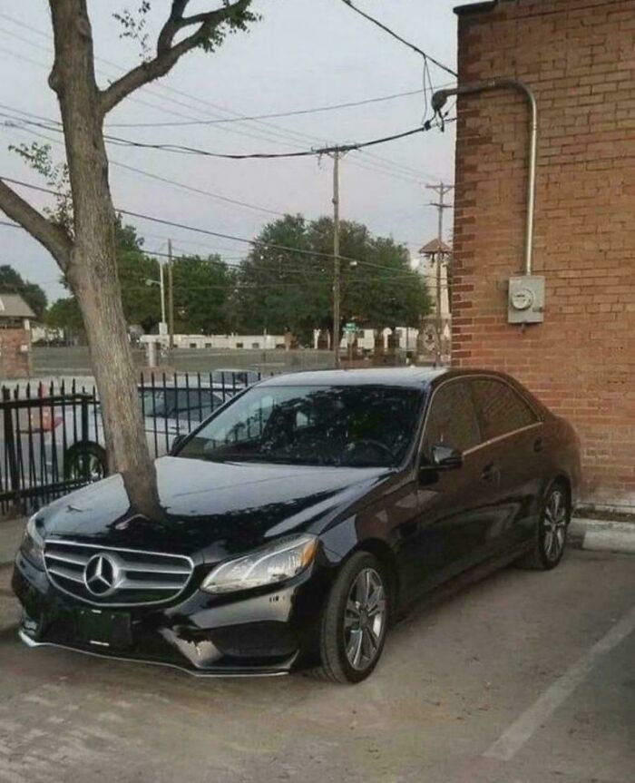 Black Mercedes car seemingly collided with a tree growing through its hood in misleading and confusing photo.