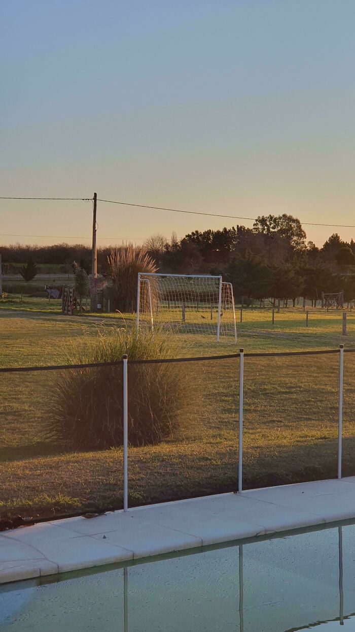 A confusing photo showing a soccer goal that appears to float above the grass behind a pool fence at sunset.