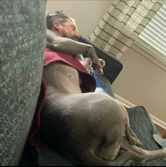 Man lying on couch with dog’s body, creating a misleading and confusing photo that seems like a glitch in real life.