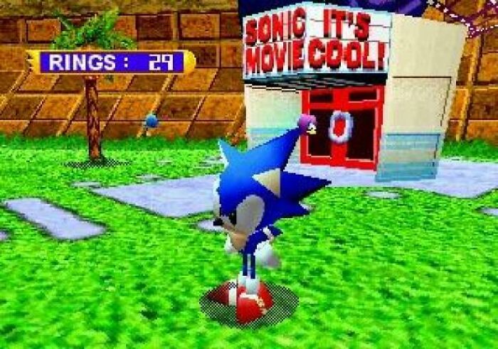 Sonic character standing next to a sign with a comedic error, showcasing signs that went so wrong humorously.