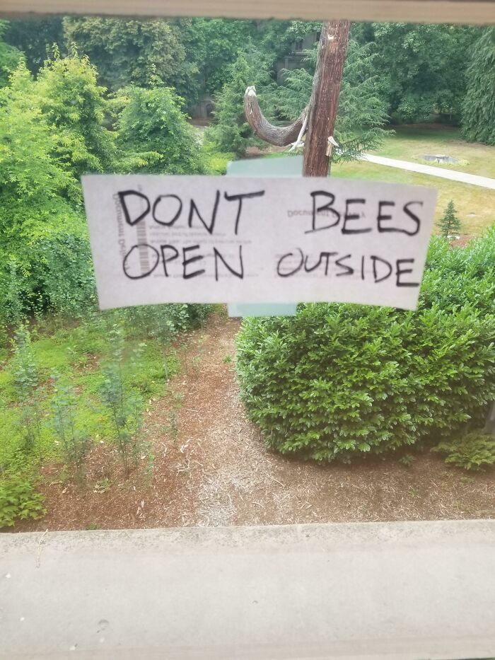 Handwritten comedic sign on window saying dont bees open outside with garden view in background.