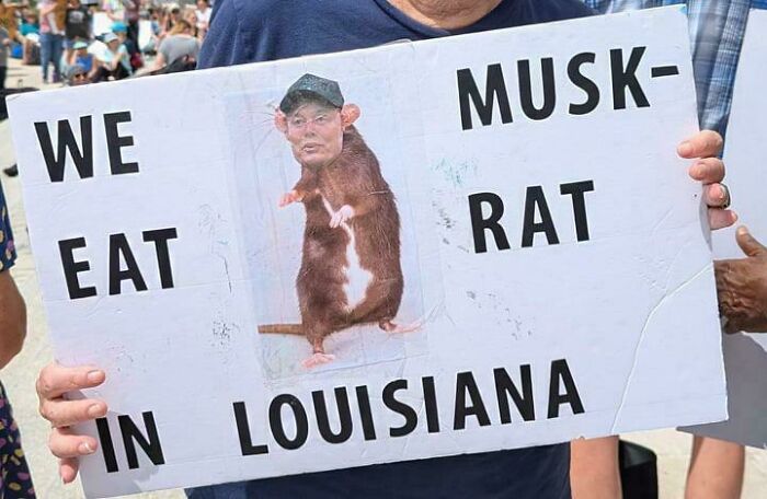 Person holding a humorous sign with a rat and text that went wrong, creating comedic gold in Louisiana.