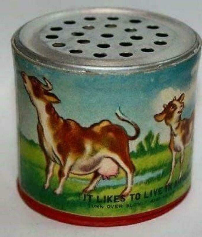 A vintage cow moo box that might take you way back.