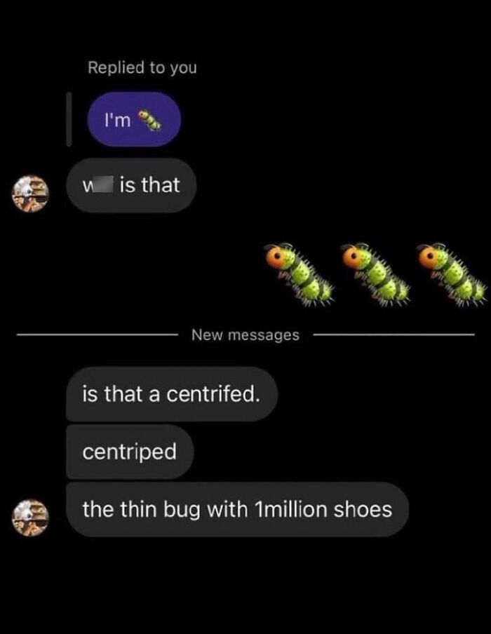 🐛🐛🐛