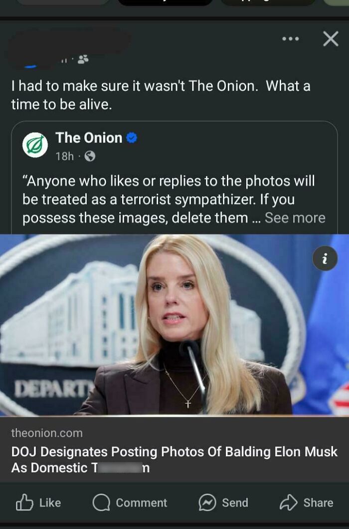Satirical article about DOJ designating photos of balding Elon Musk as domestic t*******m