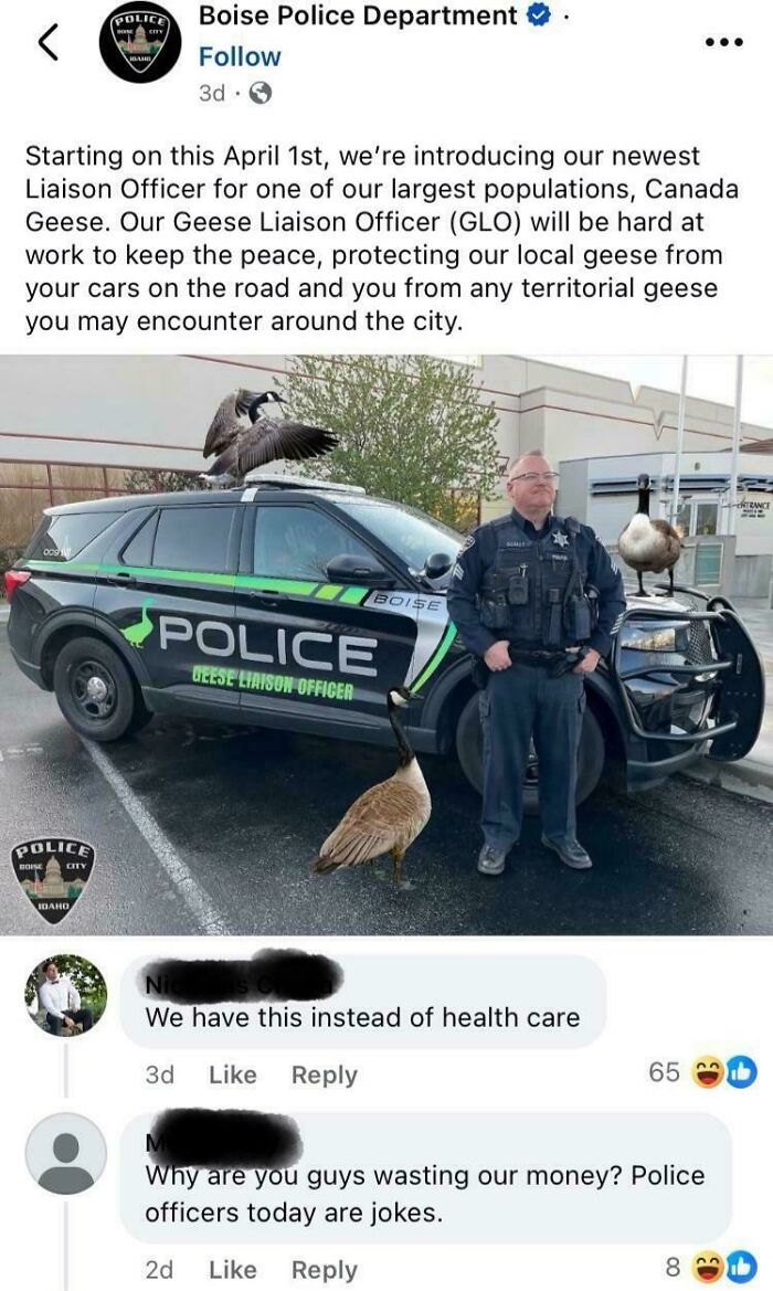 Boise Police introduce a geese liaison officer for local goose population control