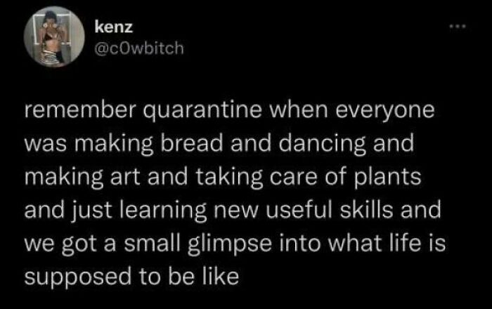 Text post by user kenz reflecting on quarantine activities like baking, dancing, and learning new skills in relatable memes.