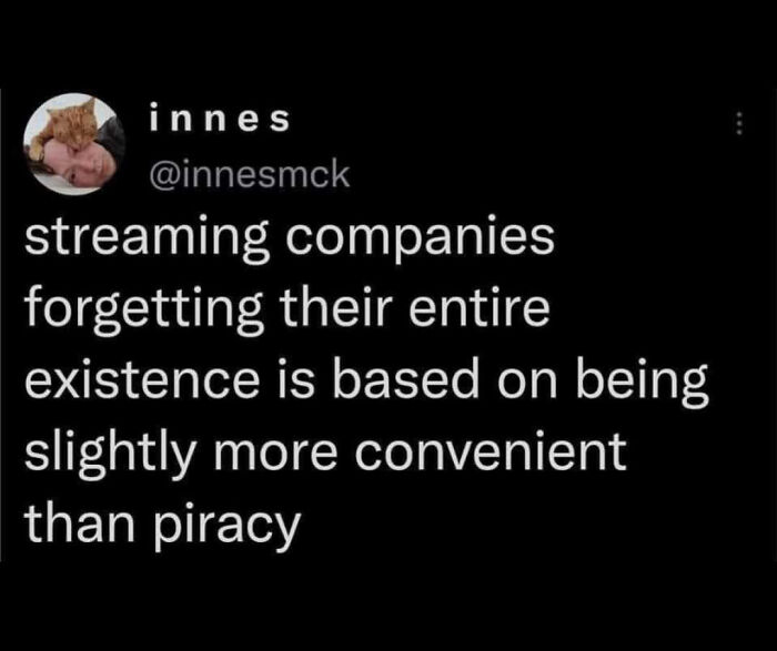 Relatable meme text about streaming companies forgetting their convenience compared to piracy, highlighting painfully relatable humor.