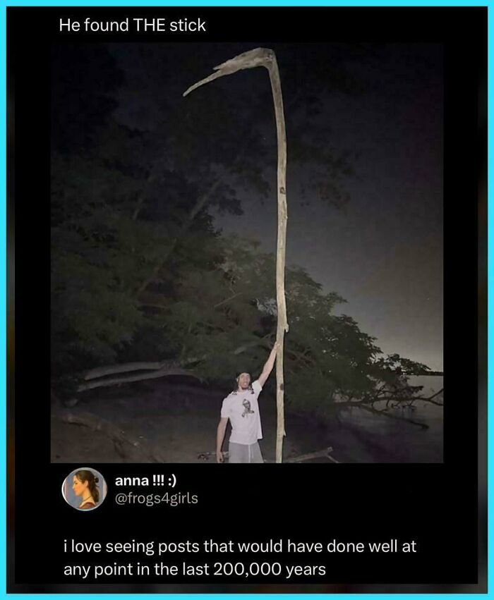 Man holding an extremely long stick at night, a relatable meme about finding the perfect stick moment.