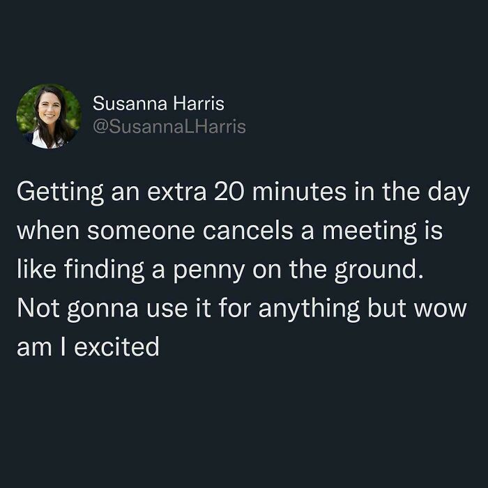 Relatable meme about getting extra time when a meeting is canceled, capturing everyday work life humor.