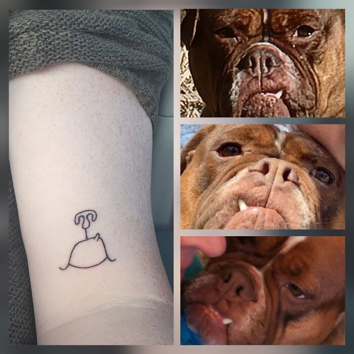 Minimalist dog tattoo on arm alongside close-up photos of a brown dog, showcasing cool tattoos with no regrets.