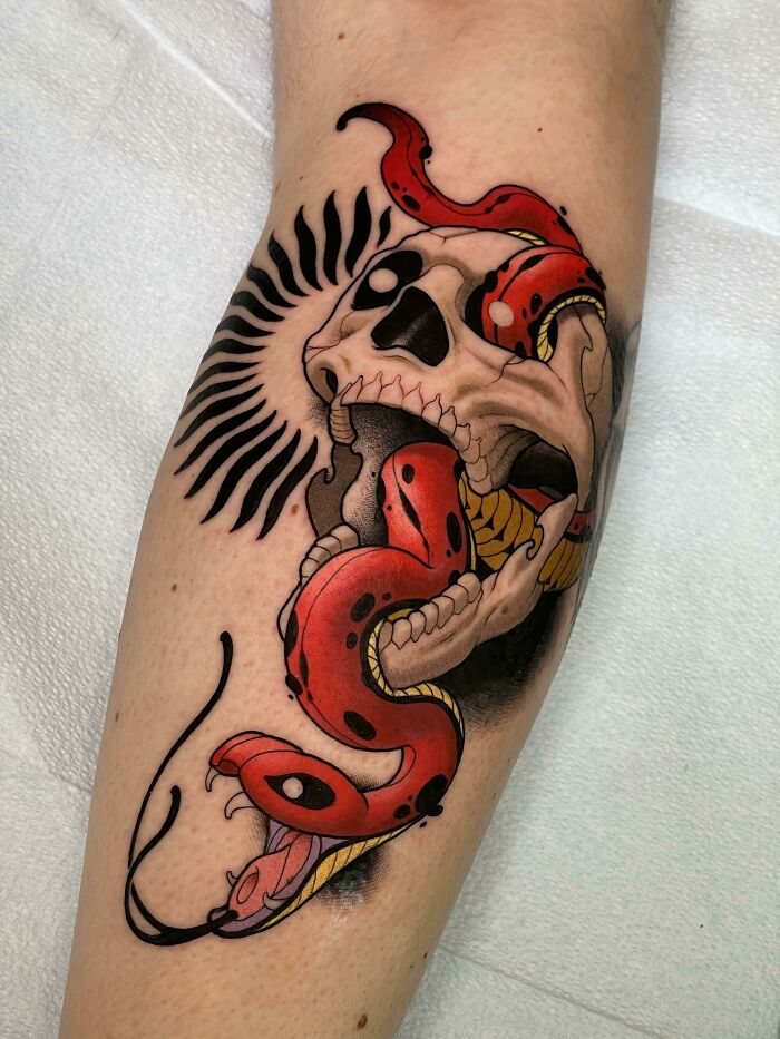 Colorful tattoo of a skull with a red snake wrapped around it, showcasing cool tattoos with bold black and red ink designs.