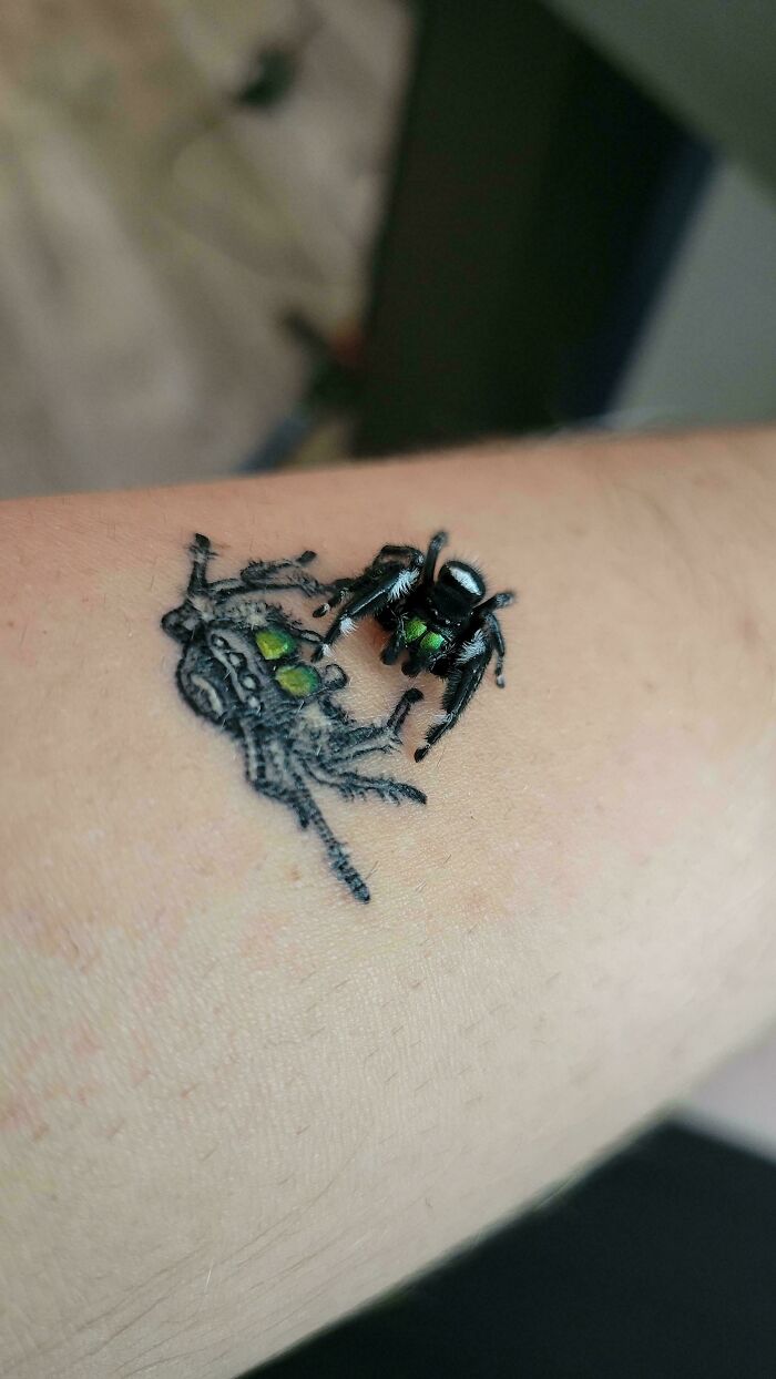 Close-up of a cool tattoo featuring a realistic black and green jumping spider on skin, showcasing detailed ink work.