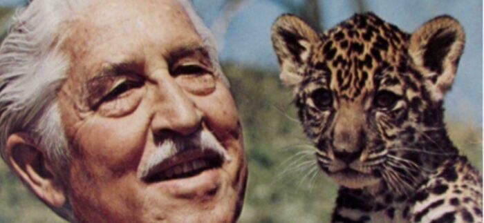 Elderly man smiling next to a young leopard cub, evoking nostalgic and relatable feelings for Gen X audiences.