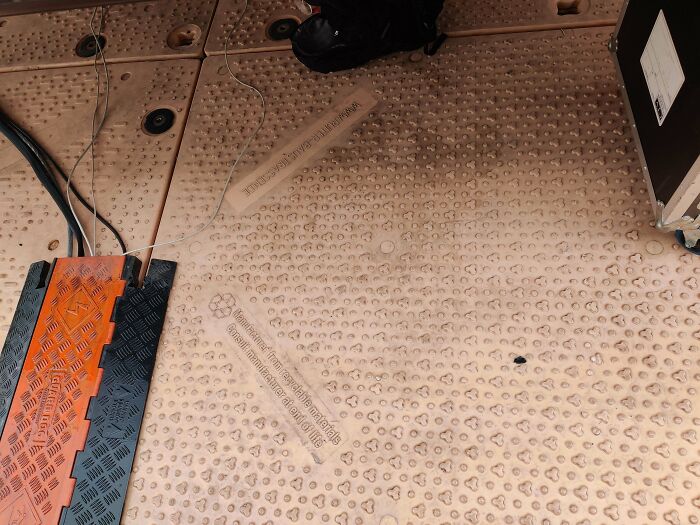 Small black camouflaged insect blending perfectly on textured beige floor, challenging viewers to find it quickly.