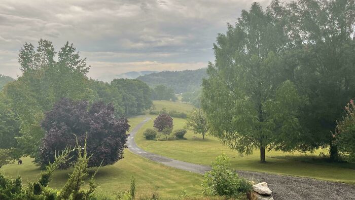 A winding gravel path through a lush landscape with trees and hills, perfect for spotting camouflaged things.