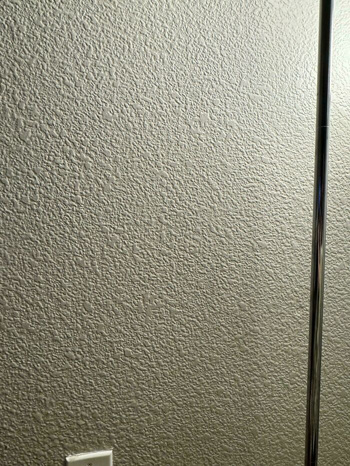 Gray textured wall with a perfectly camouflaged gecko blending in near an electrical outlet and metal pole.