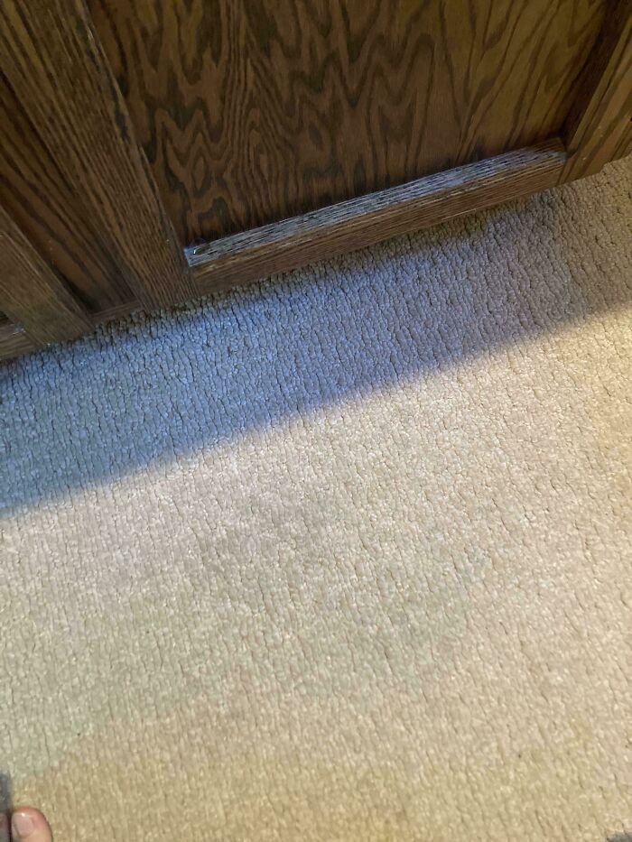 Small perfectly camouflaged spider blending into the carpet near a wooden cabinet in an indoor setting.