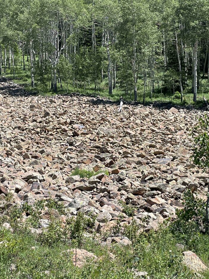 Person perfectly camouflaged among rocks in a forested area, blending into the natural surroundings unseen.