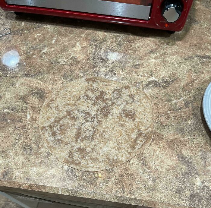 Perfectly camouflaged tortilla blending into a kitchen countertop, demonstrating impressive camouflage that is hard to spot.