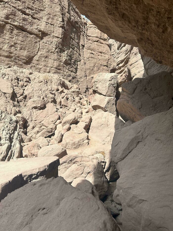 Rocky canyon landscape with perfectly camouflaged animal blending into natural stone formations in bright daylight.
