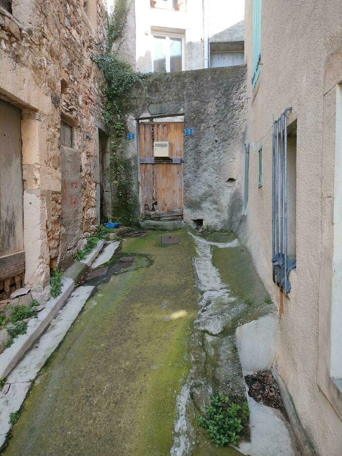 Old alleyway with moss-covered ground and a camouflaged black cat blending into the shadows near the wooden door.