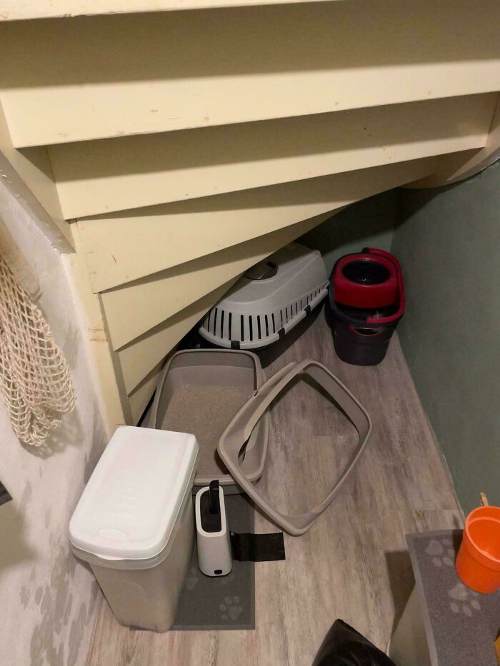 A cat perfectly camouflaged against a litter box corner under stairs, hard to find at first glance.