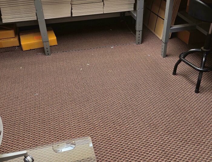 Brown patterned carpet blending perfectly with a camouflaged owl hidden near shelves in a dimly lit room.