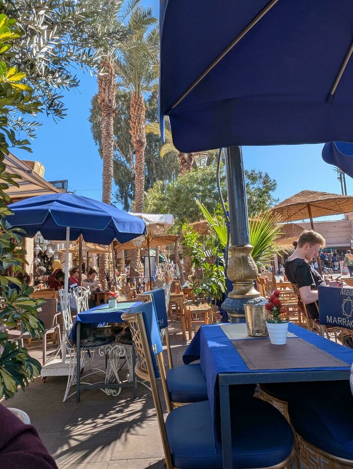Outdoor cafe scene with blue umbrellas and chairs blending into sunny surroundings featuring palm trees and greenery.