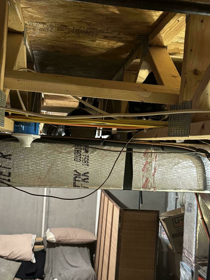 Black cat perfectly camouflaged in shadows among wooden beams and wiring in a cluttered basement space.