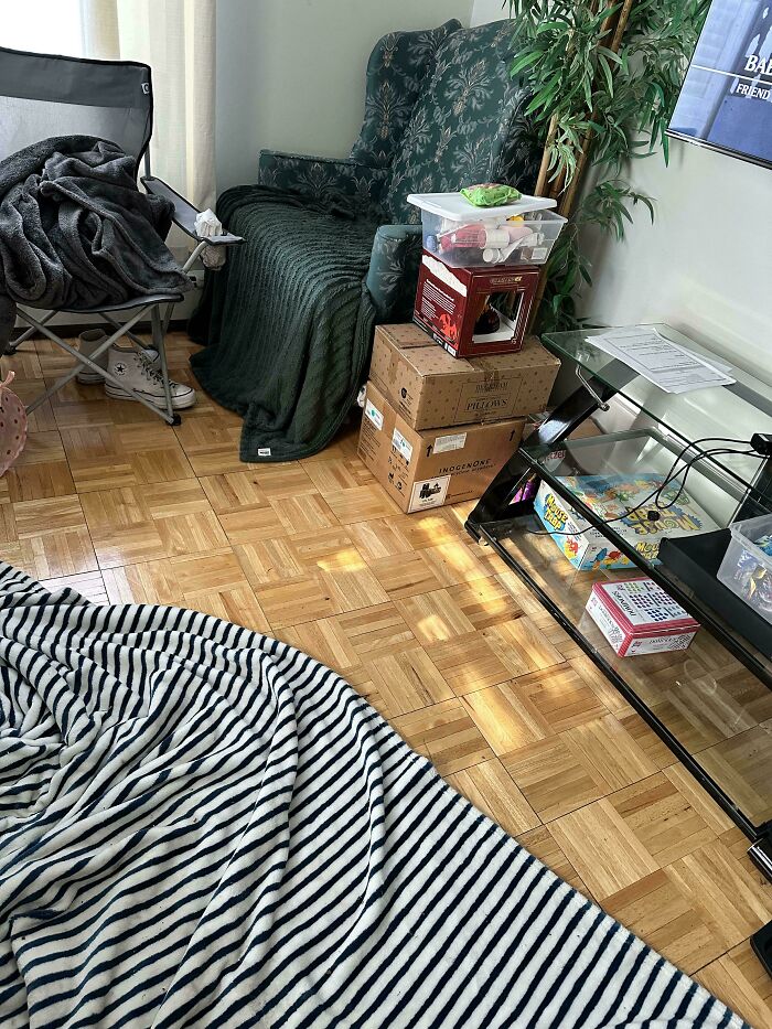 Living room with striped blanket on floor, camouflaged cat blending into dark green chair and cozy clutter around.