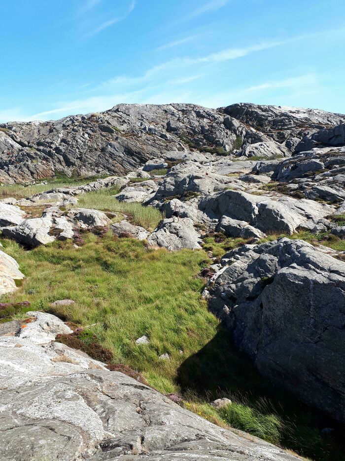 Rocky landscape with grass blending in perfectly, showcasing camouflaged things that might take ages to find.