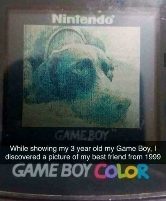 Nintendo Game Boy Color screen showing a dog pixel art, evoking nostalgic memories of the 90s kids gaming era.