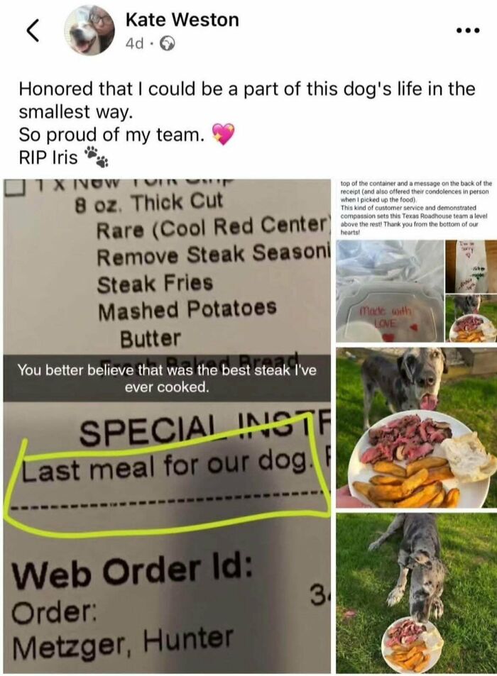 Special last meal order for a beloved dog with steak and fries showing heartfelt care