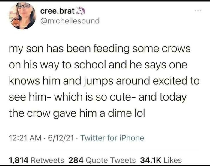 Tweet about son feeding crows and receiving a dime from a crow showing wholesome connection
