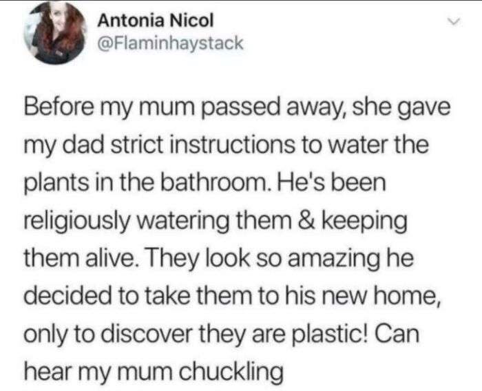 Funny text about dad watering plastic plants from a warm wholesome story