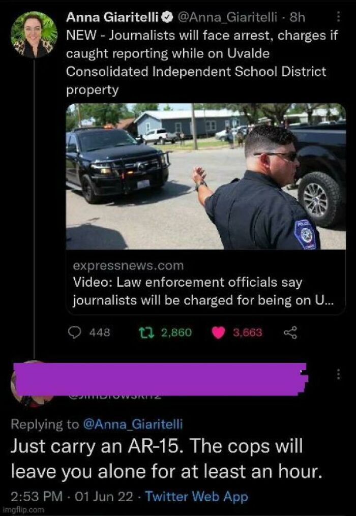 Screenshot of a sharp comeback comment about carrying an AR-15 in response to journalist arrest warnings.