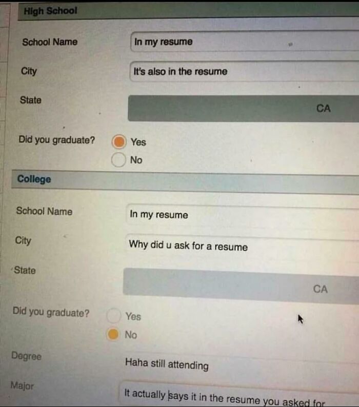 A screenshot of an application form filled with passive-aggressive answers, a hilarious and infuriating petty people note.