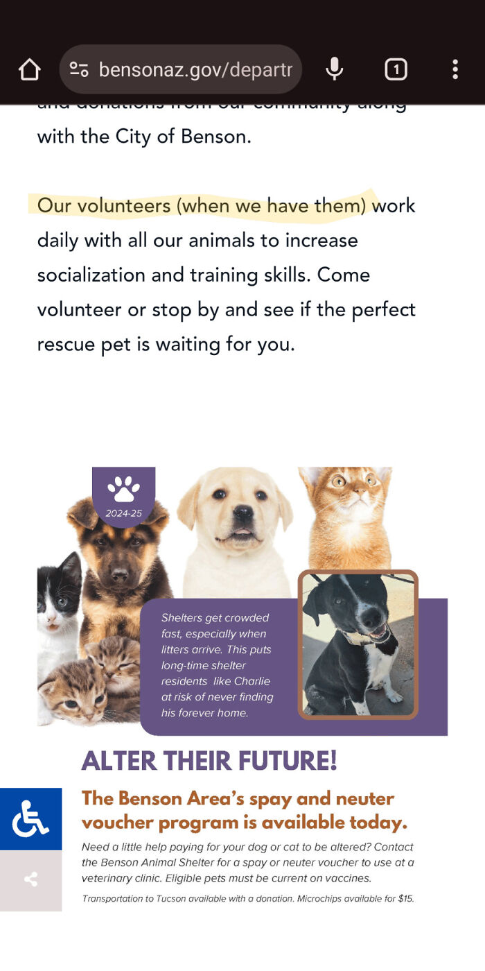 A website page about pets with a section on the Benson Area's spay and neuter voucher program.
