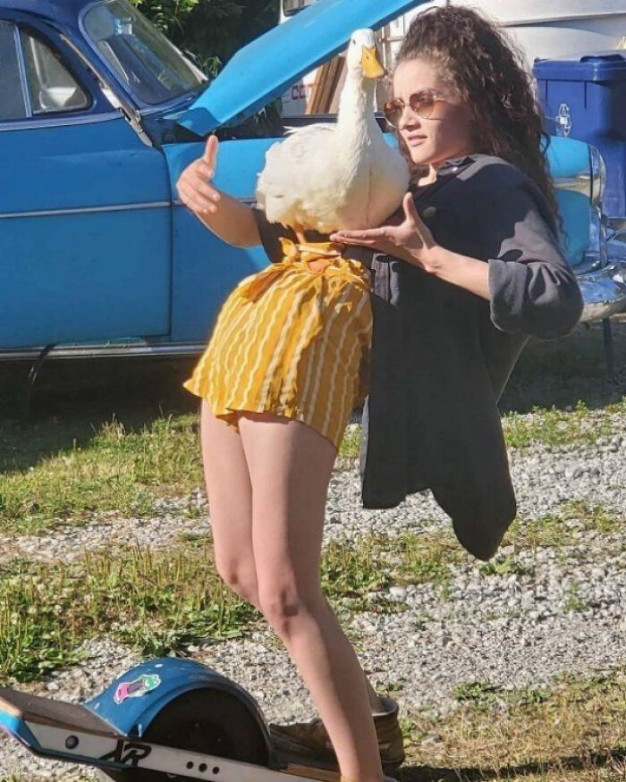 Person on scooter with a duck appearing as head, creating a weird and confusing optical illusion image.