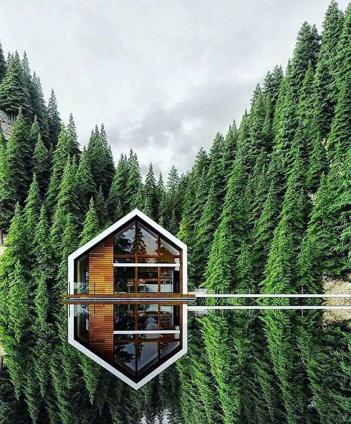 Modern small home reflected in calm water amid green forest
