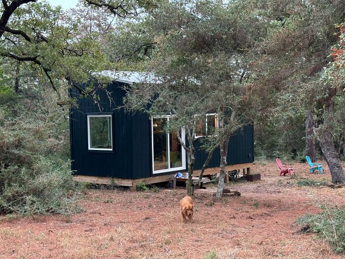 Black tiny home in woodland area with dog and outdoor chairs