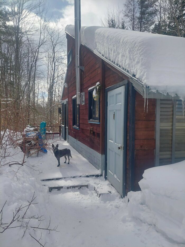 Snow-covered small cabin with dog standing nearby