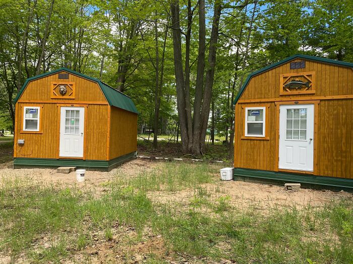 Two small wooden homes with green roofs situated in a forest clearing