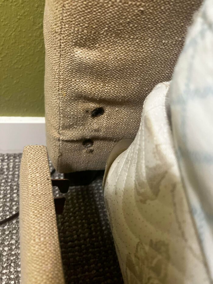 Close-up of a shoe stuck between a couch and wall, showing a hilariously dumb solution that technically works for keeping the couch in place.