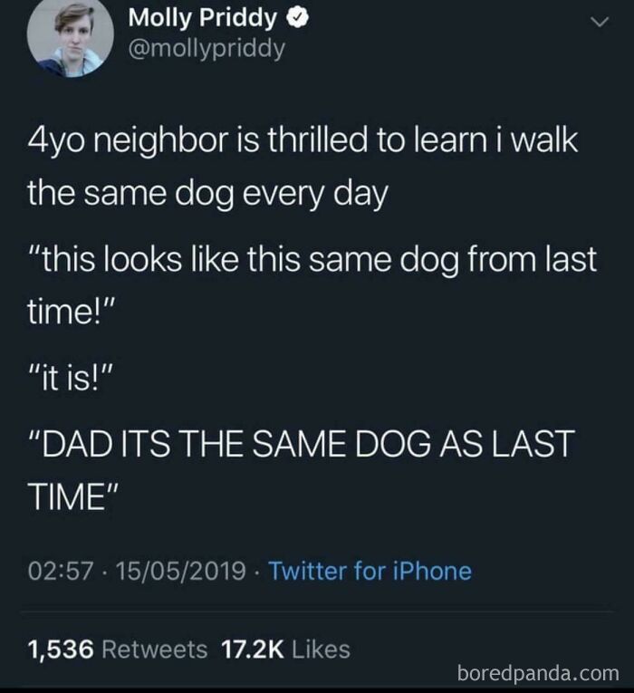 A funny Twitter post about a kid realizing the same dog is walked daily. Parents share dumb and funny kid moments.