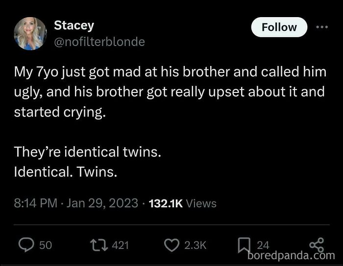 A tweet about a kid calling his identical twin ugly, making the twin cry. A funny kid moment parents had to share.