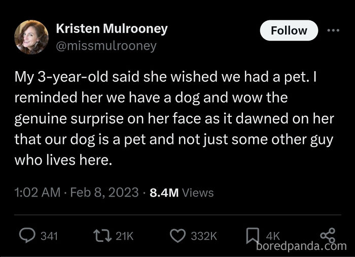 A tweet by Kristen Mulrooney describes her 3-year-old realizing their dog is a pet. Funny kid moment.