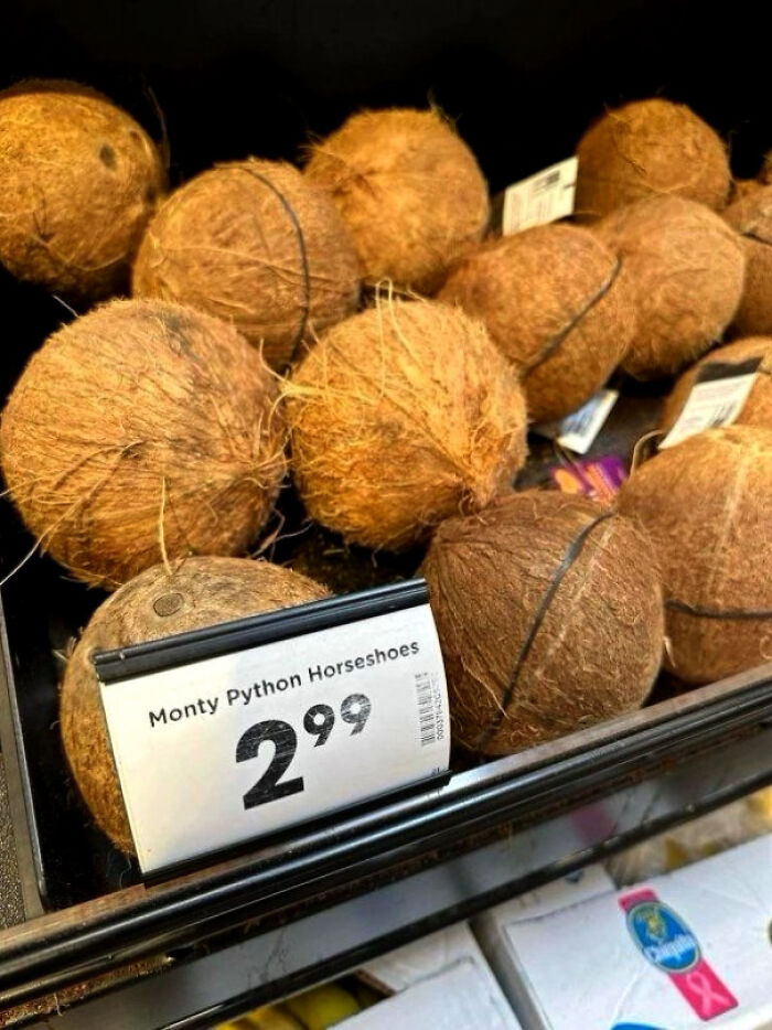 Pile of coconuts labeled as Monty Python horseshoes with a price tag, a confusing and funny sign about bees.