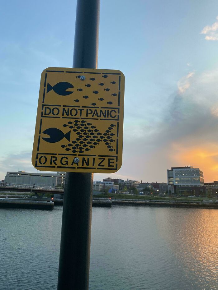 Yellow sign with fish illustrations and text do not panic organize, shown outdoors near water at sunset for funny confusing signs.
